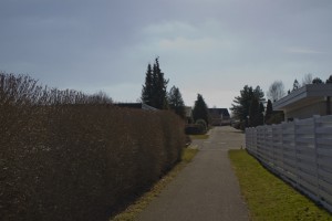 IMG_1769